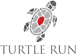 Turtle Run